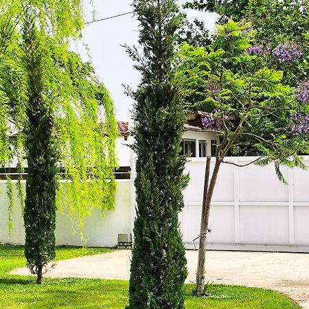 Seaside Jacaranda Διαμέρισμα Σχοινιάς Εξωτερικό φωτογραφία