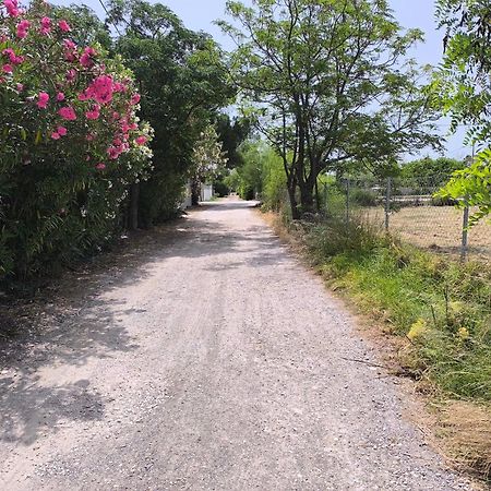 Seaside Jacaranda Διαμέρισμα Σχοινιάς Εξωτερικό φωτογραφία