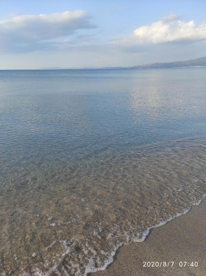 Seaside Jacaranda Διαμέρισμα Σχοινιάς Εξωτερικό φωτογραφία