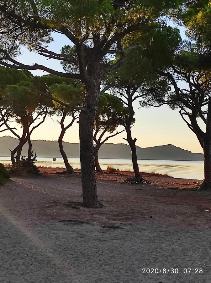 Seaside Jacaranda Διαμέρισμα Σχοινιάς Εξωτερικό φωτογραφία