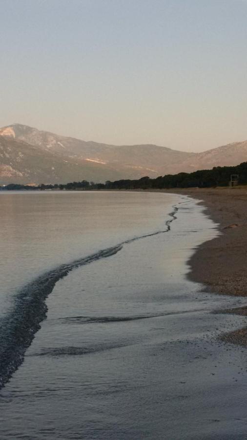 Seaside Jacaranda Διαμέρισμα Σχοινιάς Εξωτερικό φωτογραφία