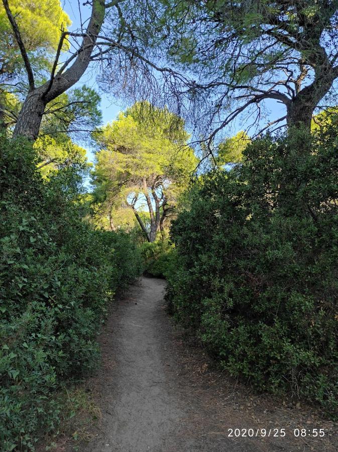 Seaside Jacaranda Διαμέρισμα Σχοινιάς Εξωτερικό φωτογραφία