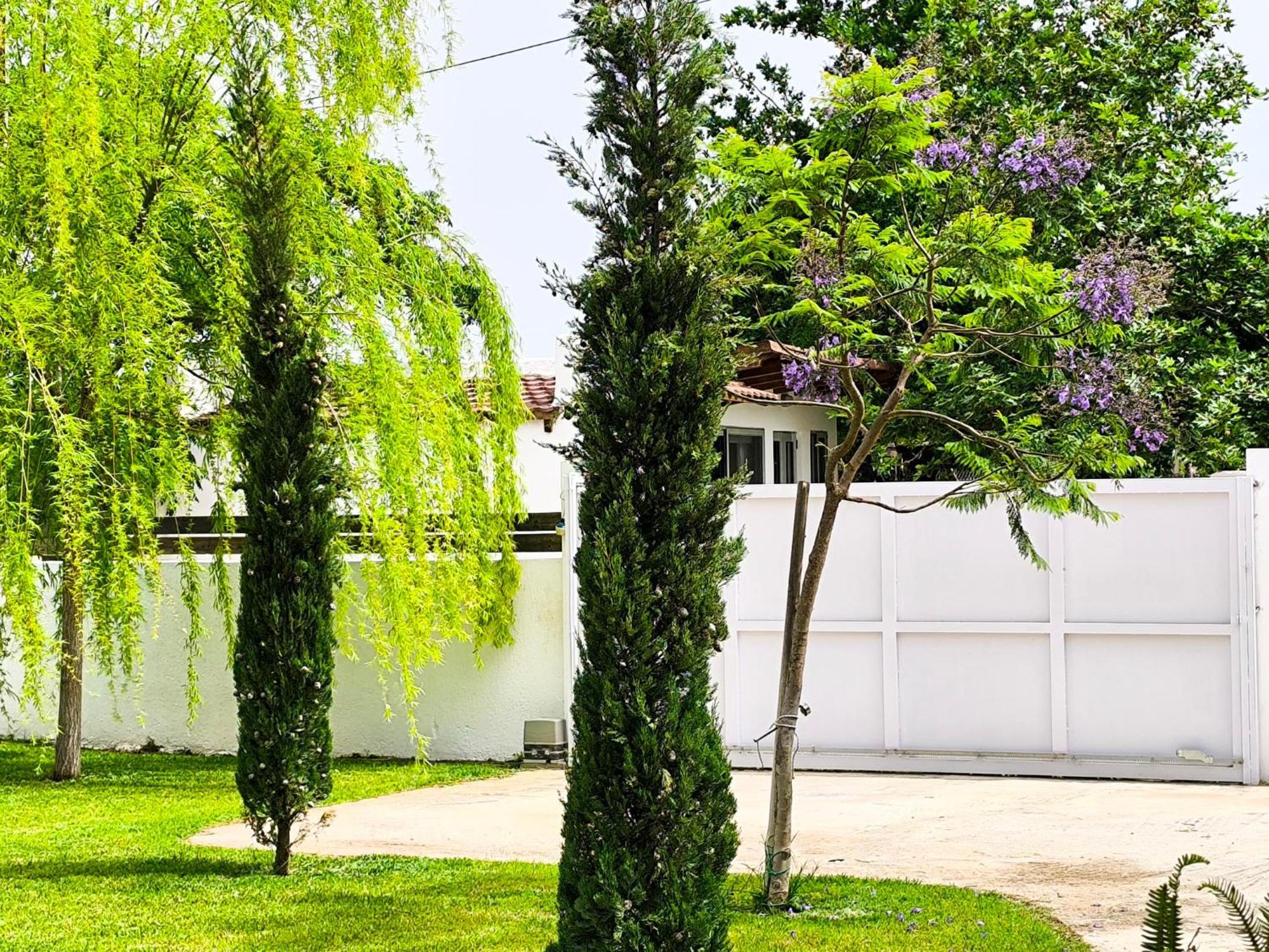 Seaside Jacaranda Διαμέρισμα Σχοινιάς Εξωτερικό φωτογραφία